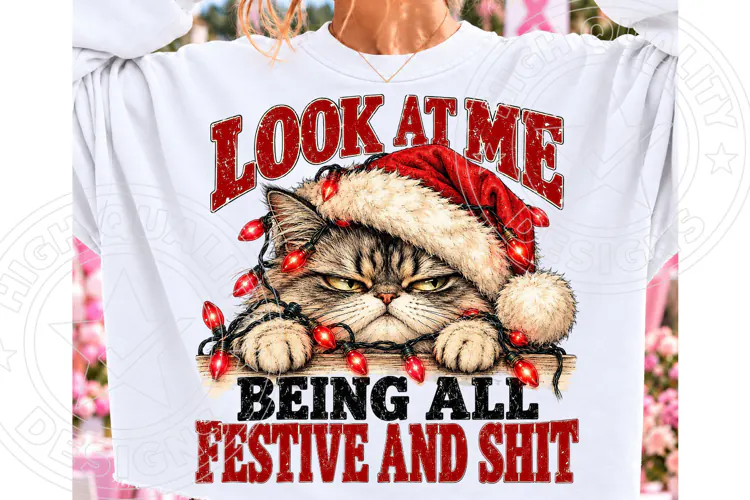 Look at Me Being All Festive and Shit PNG | Funny Grumpy Chr