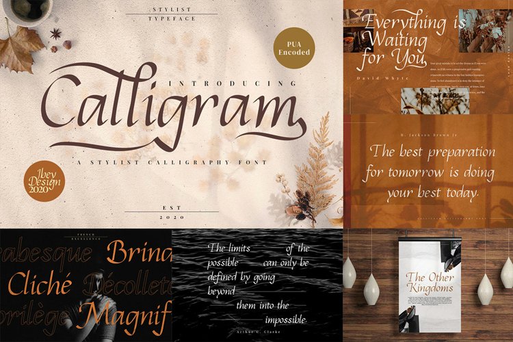 Best Seller - Lovely Fonts Bundle