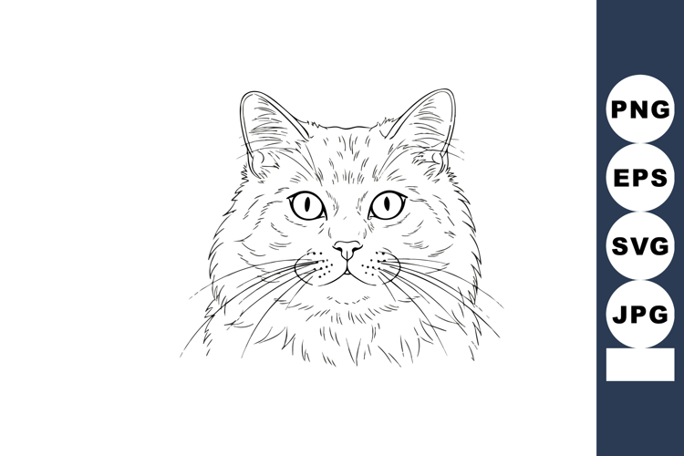 Eyes Clipart Image 4