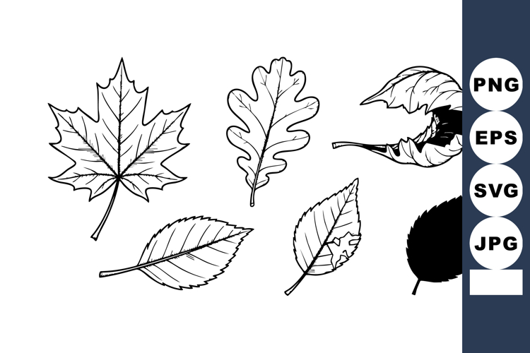 Leaf Clipart