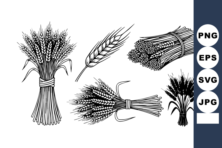 Wheat Vector Image 24