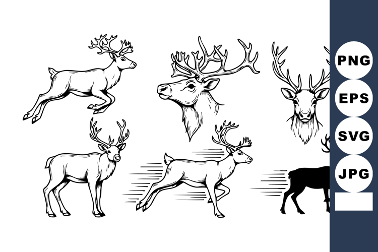 Cute Animal Clipart Image 5
