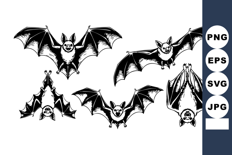 Bats Clipart Image 13