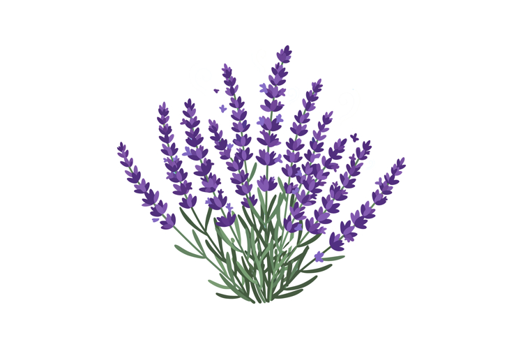 Flowers Vector Image 8