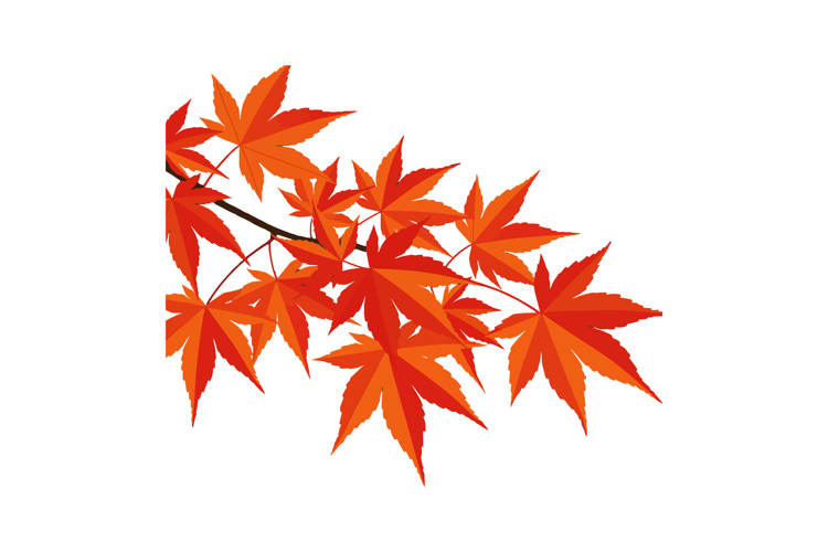 Fall Leaves Illustration Image 20