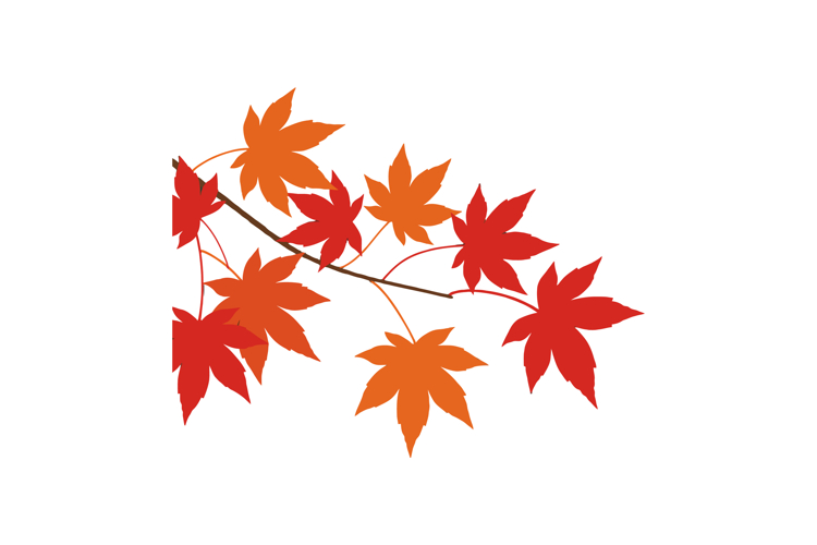 Fall Leaves Vector Image 19
