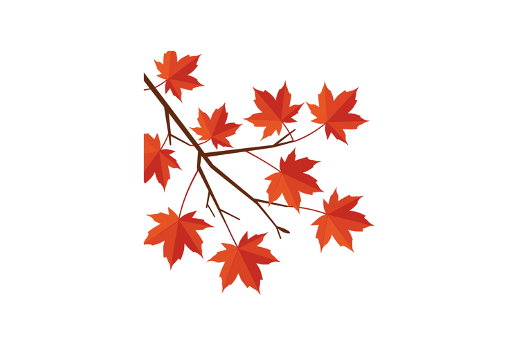 Autumn Illustration Image 13
