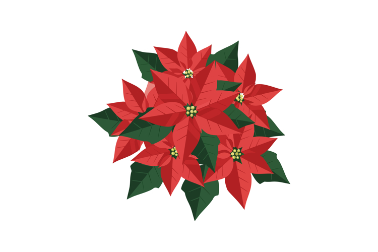 Flower Vector Image 4