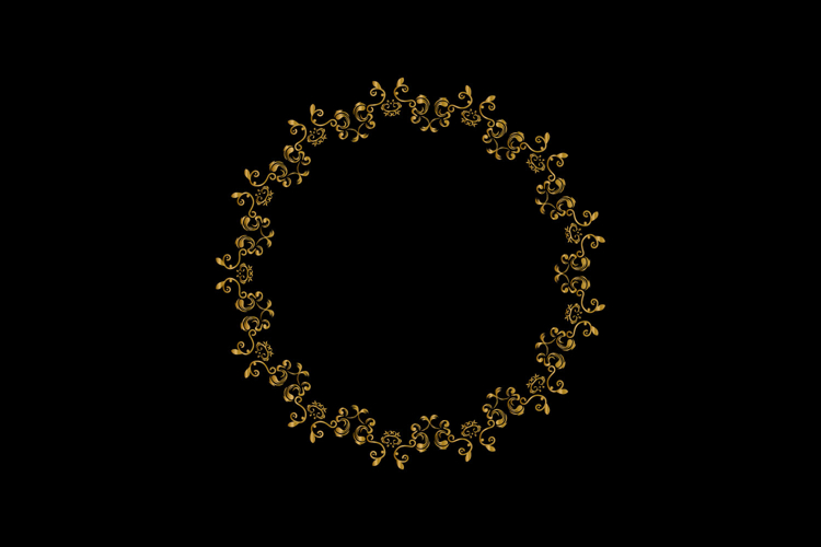 Luxury round vintage floral ornament element decoration vect