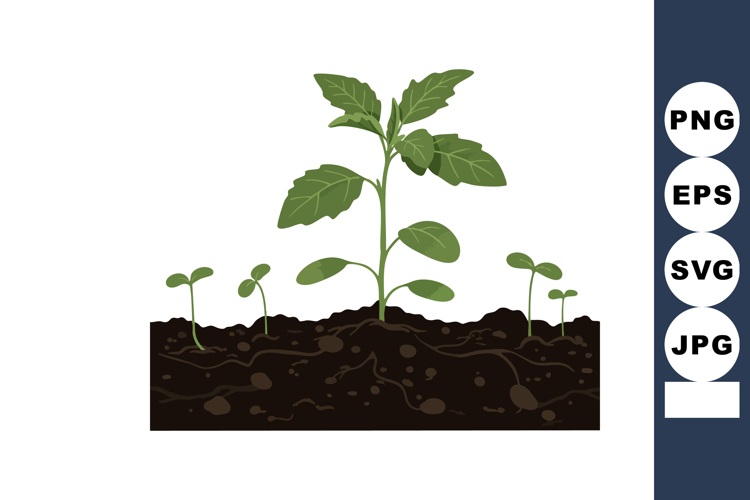 Sprout Clipart Image 14
