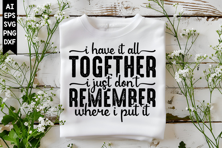 I Have It All Together I Just Dont Remember where i put it
