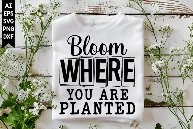 Bloom Where You Are Planted Svg, Inspirational Svg Designs