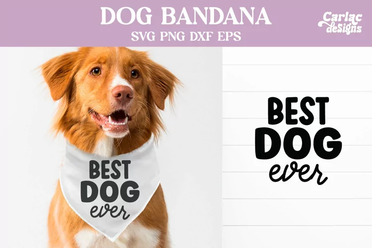 Dog Bandana & Shirt, Funny Dog SVG and Sublimation