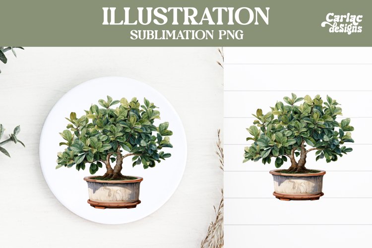 Watercolor Clipart Image 15