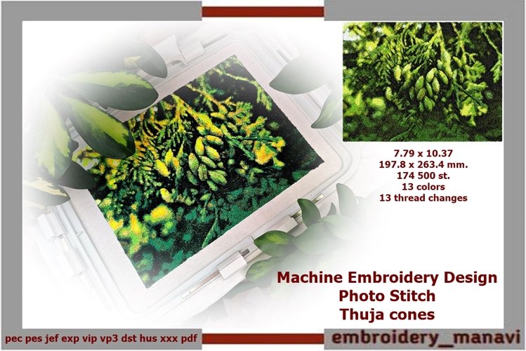 Machine embroidery design photo stitch Thuja cones