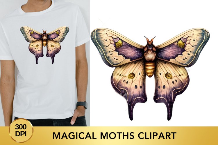 Witchcraft Png Image 16