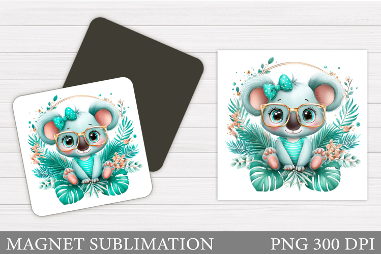 Cute Koala Pictures Image 19