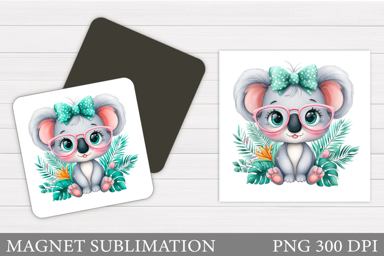 Cute Koala Pictures Image 18