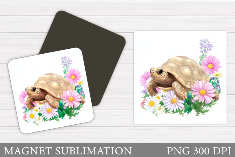 Cute Turtle Clipart Image 4