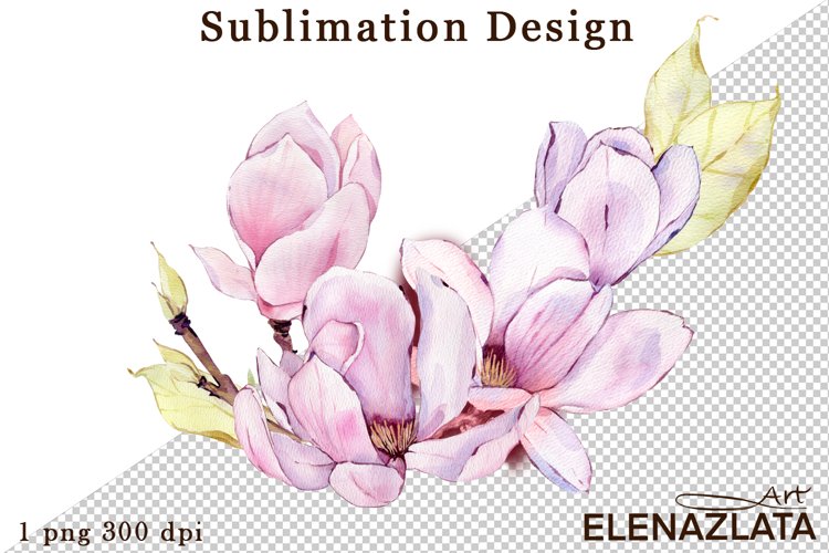 Magnolia Clipart Image 23