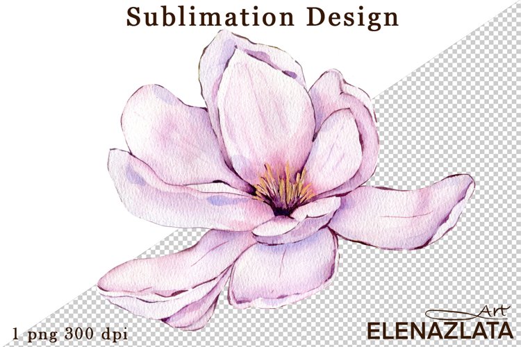 Magnolia Clipart Image 22