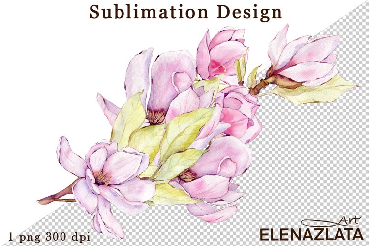 Magnolia Clipart Image 20