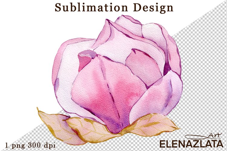 Magnolia Clipart Image 18