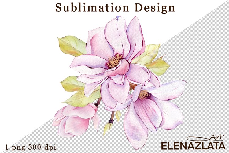 Magnolia Clipart Image 19
