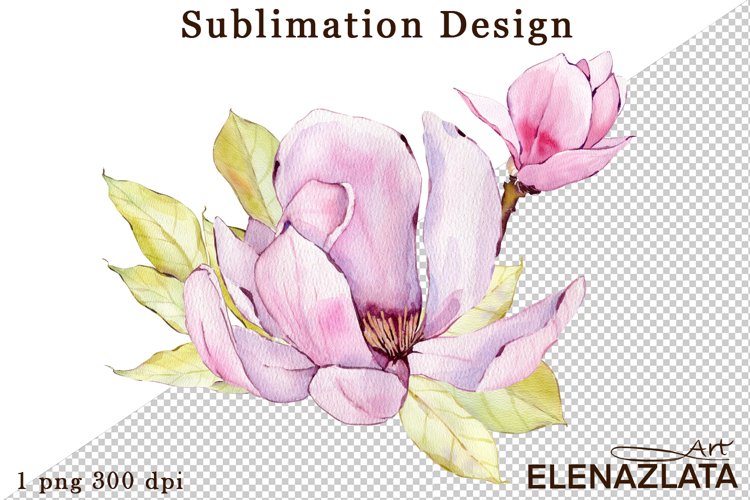 Magnolia Clipart Image 17