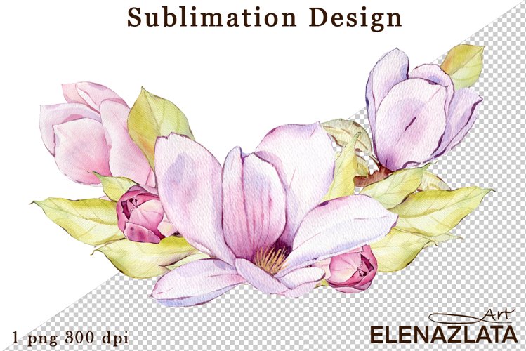 Magnolia Clipart Image 16