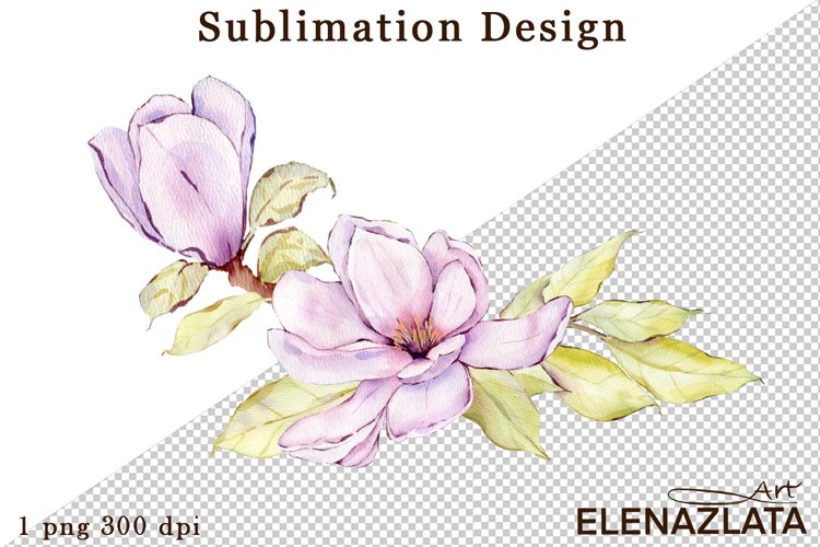 Magnolia Clipart Image 15