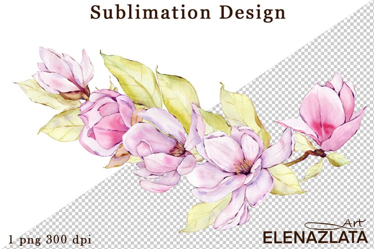 Magnolia Clipart Image 24
