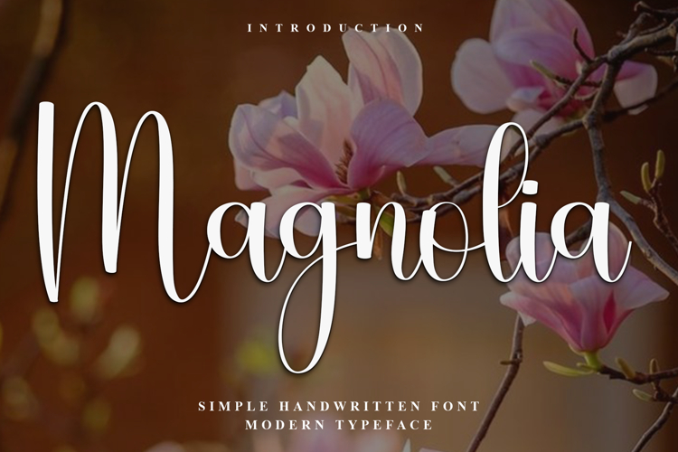 Magnolia