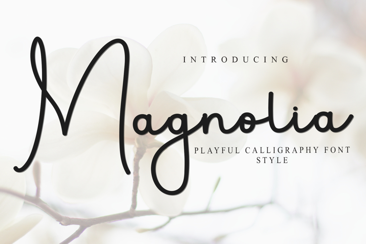 Magnolia