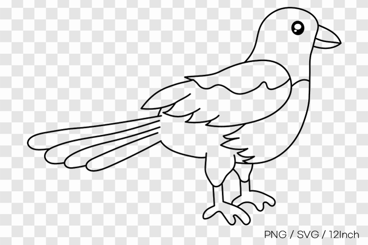 Cute garden magpie bird feather wing shape PNG animal illust