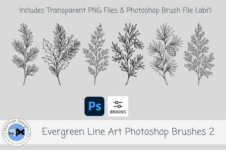 Evergreen Line Art Photoshop Brushes 2 example image 1