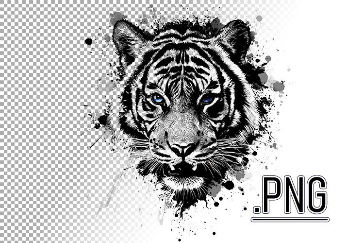 Tiger Clipart Image 12