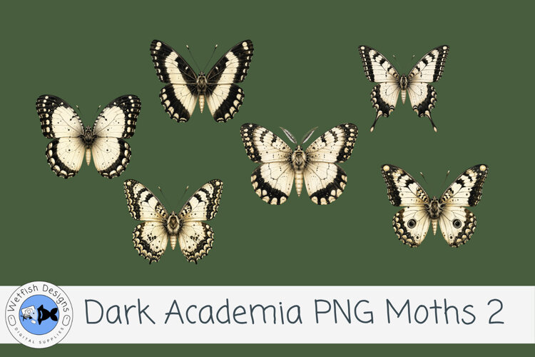 Dark Academia PNG Moths 2 example image 1