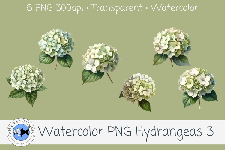 Watercolor Hydrangea PNG Clipart Set 3