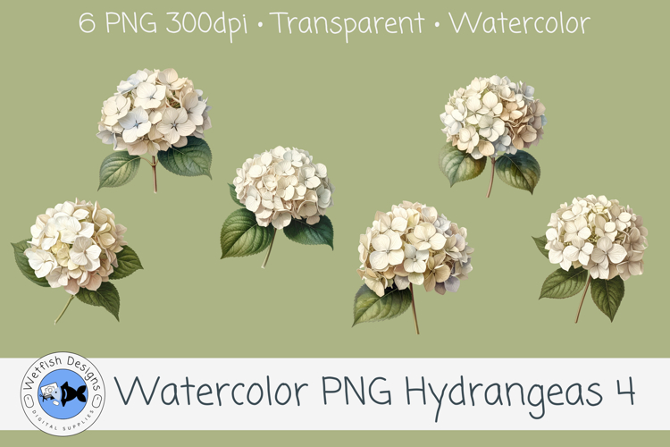 Watercolor Hydrangea PNG Clipart Set 4