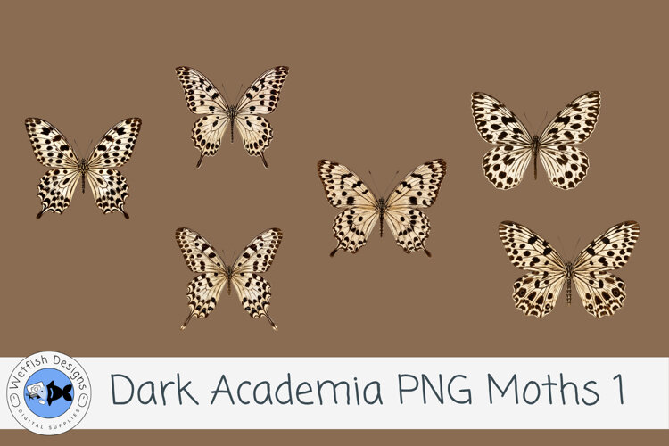 Dark Academia PNG Moths 1 example image 1