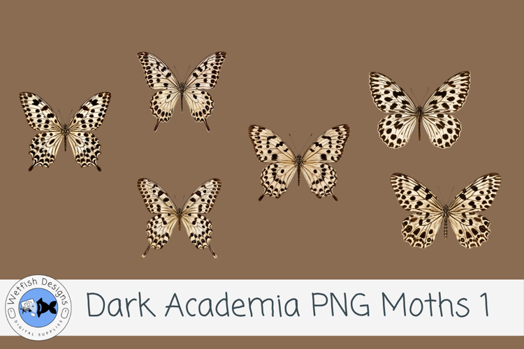 Dark Academia PNG Moths 1