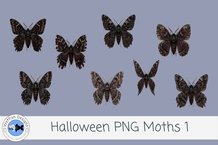 Halloween PNG Moths 1 example image 1