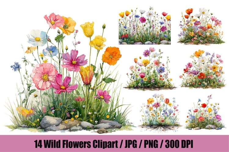 Flower Clipart Png