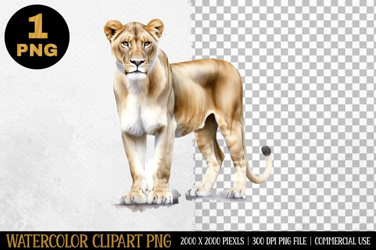 T-Shirt Designs Image 13