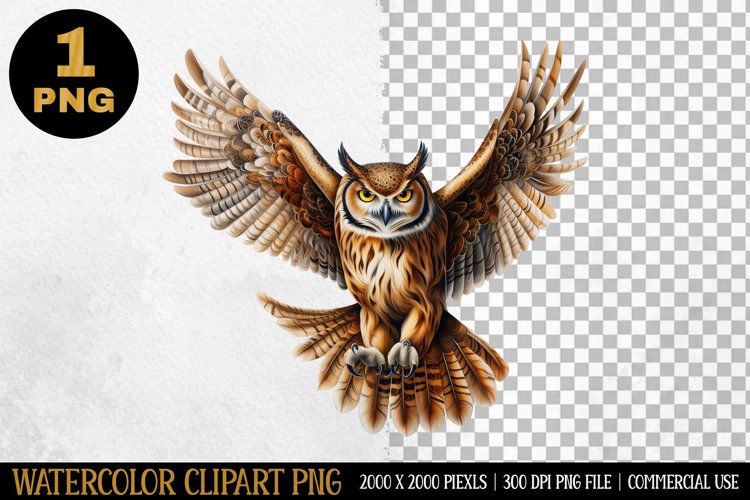 Owl Watercolor Clipart | Sublimation Designs | PNG