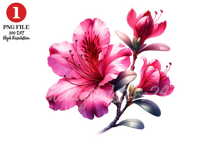 Pink Flowers Png Image 18
