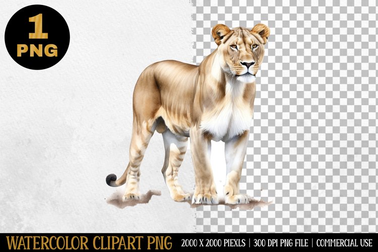 Watercolor Clipart | Sublimation Design | PNG