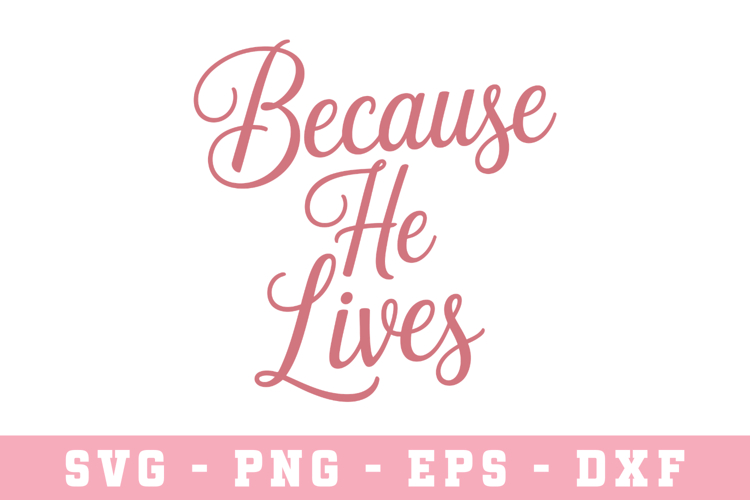 Cute Shirt Svg Image 16