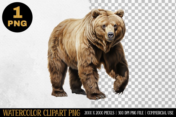 Watercolor Clipart | Sublimation Designs | PNG